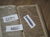 /album/noc-s-andersenom-slizolabacik/p1010004-stredne-jpg/